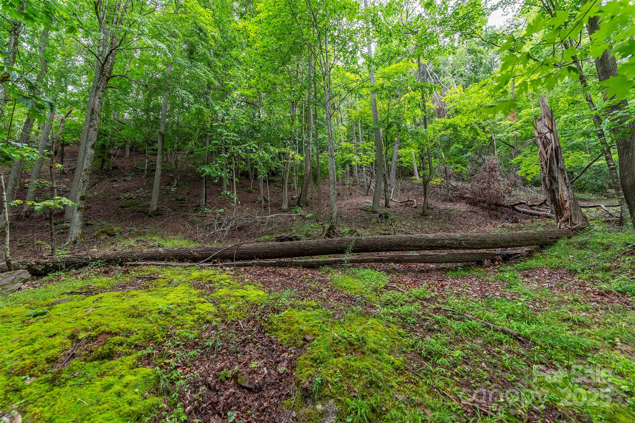 25 Hickory Springs Road Burnsville NC 28714