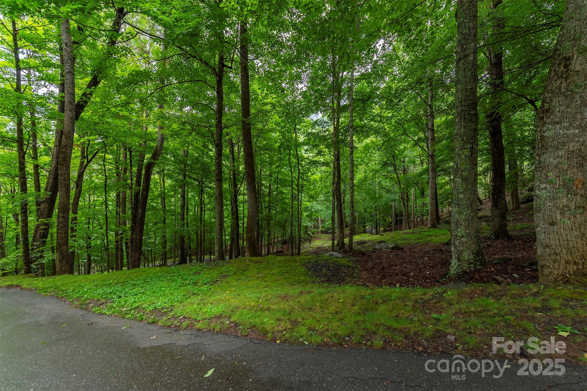 25 Hickory Springs Road Burnsville NC 28714