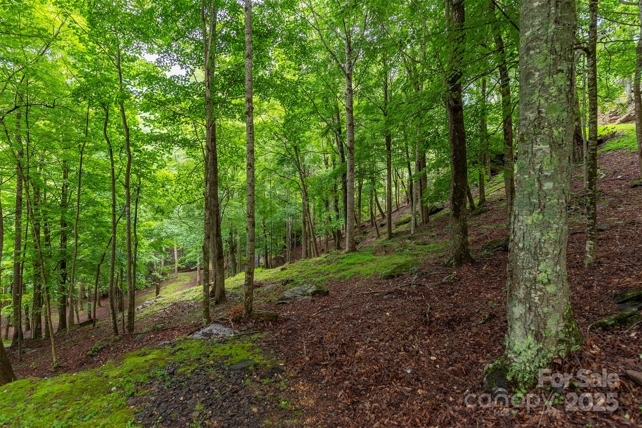 25 Hickory Springs Road Burnsville NC 28714