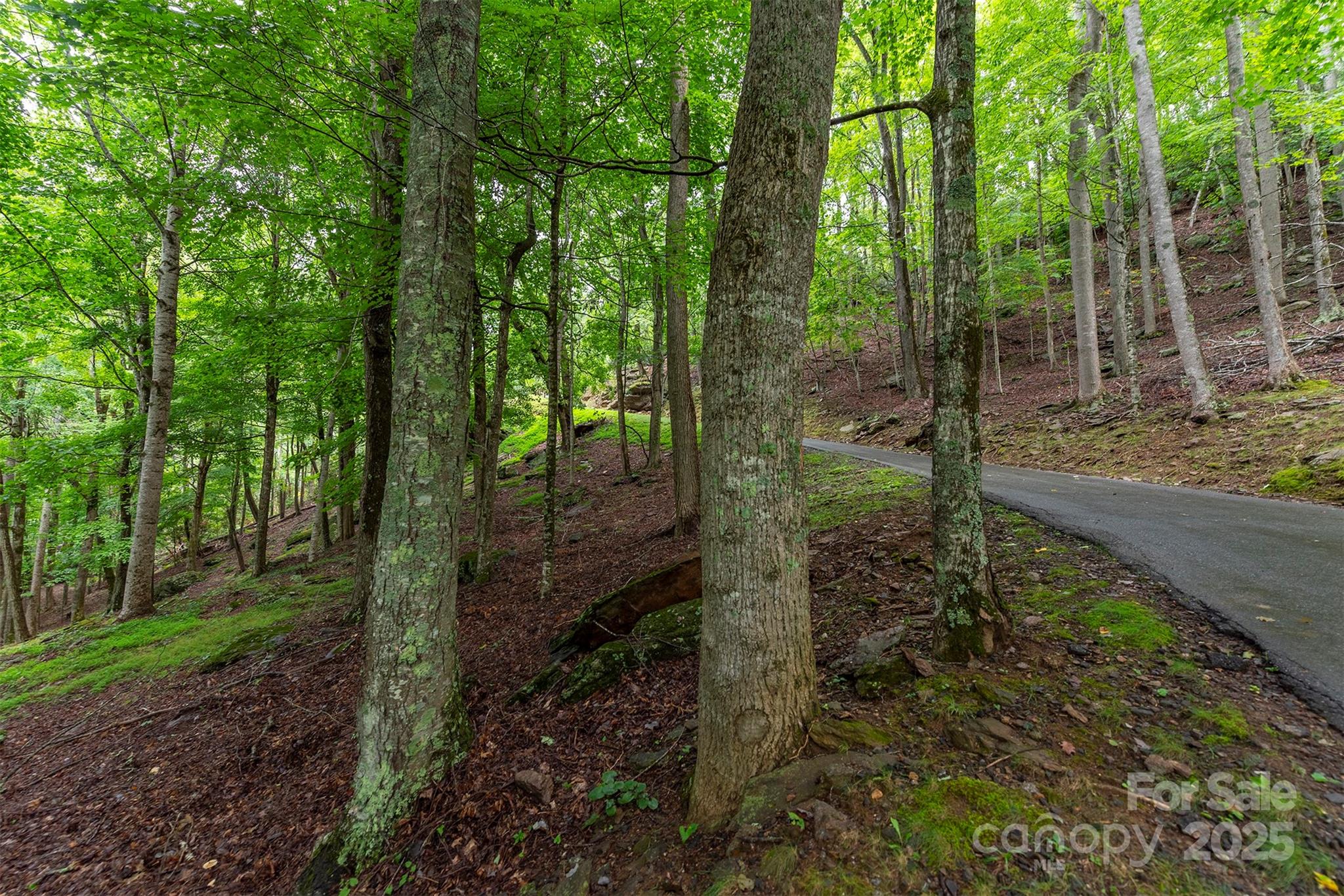 25 Hickory Springs Road Burnsville NC 28714