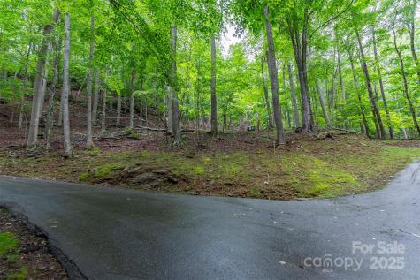 25 Hickory Springs Road Burnsville NC 28714