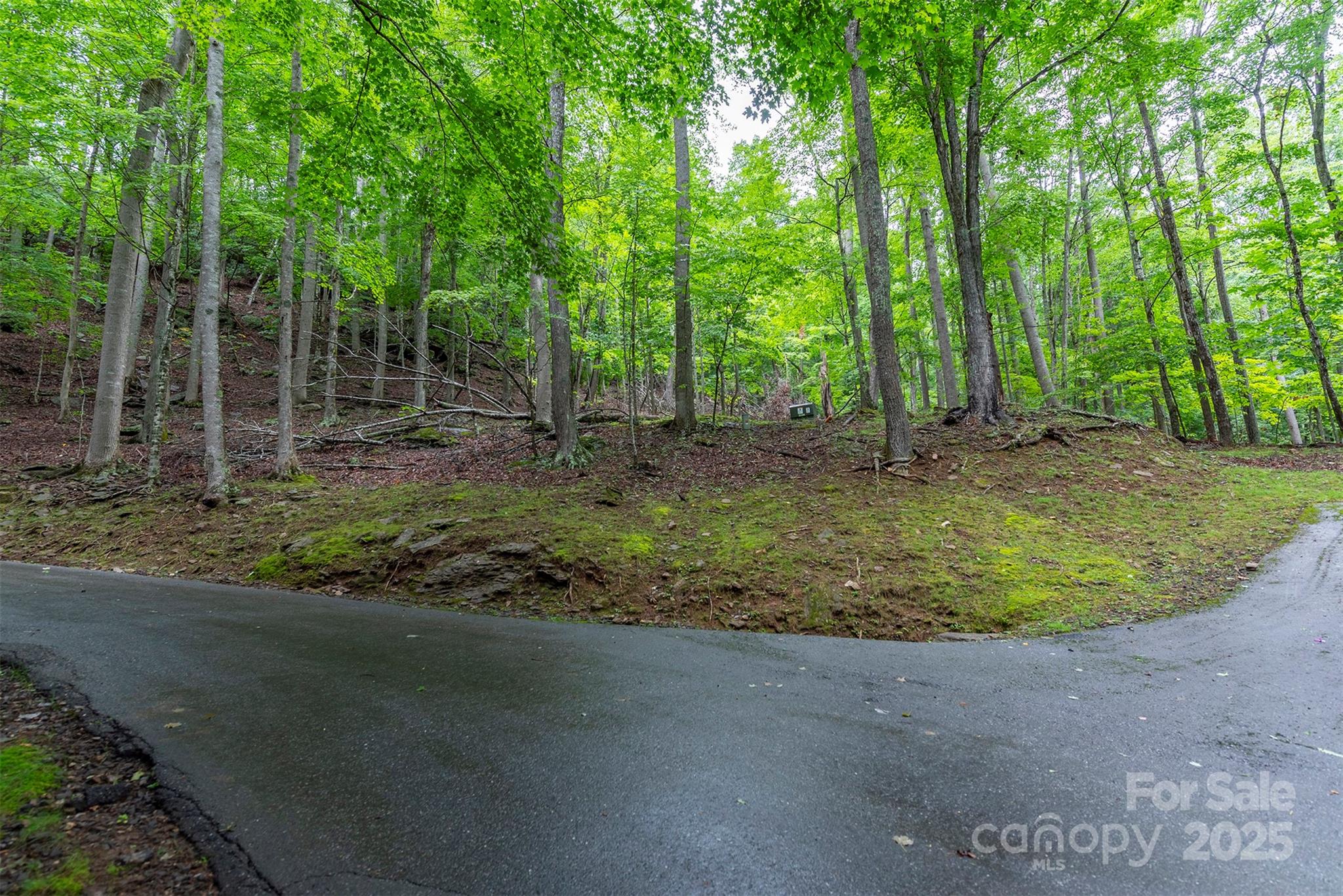 25 Hickory Springs Road Burnsville NC 28714