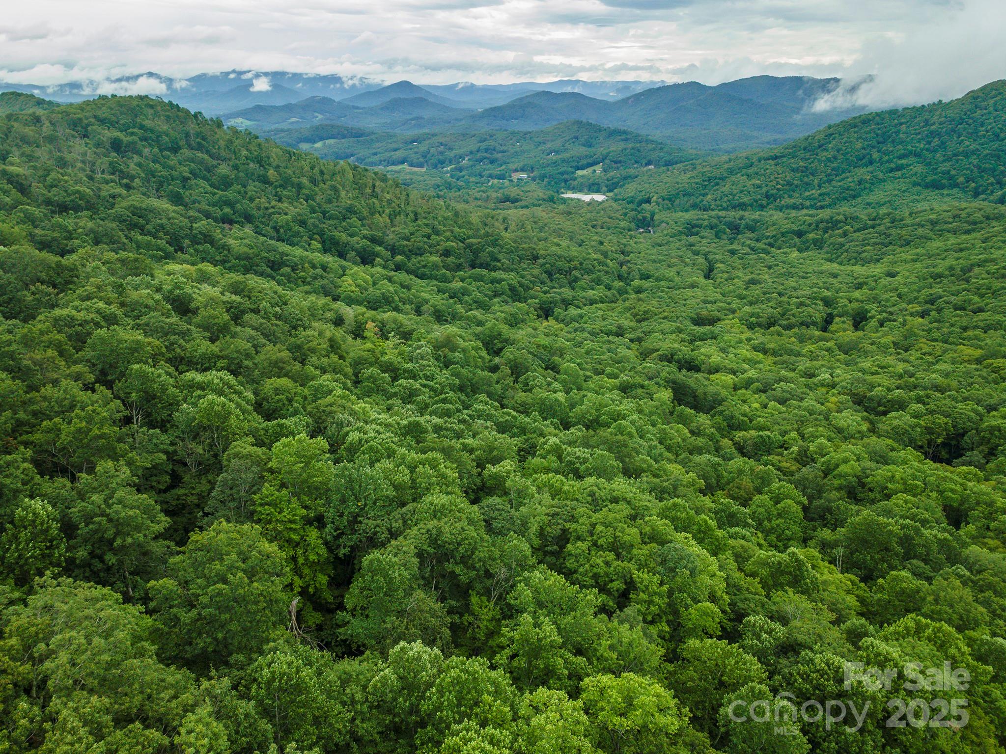 25 Hickory Springs Road Burnsville NC 28714