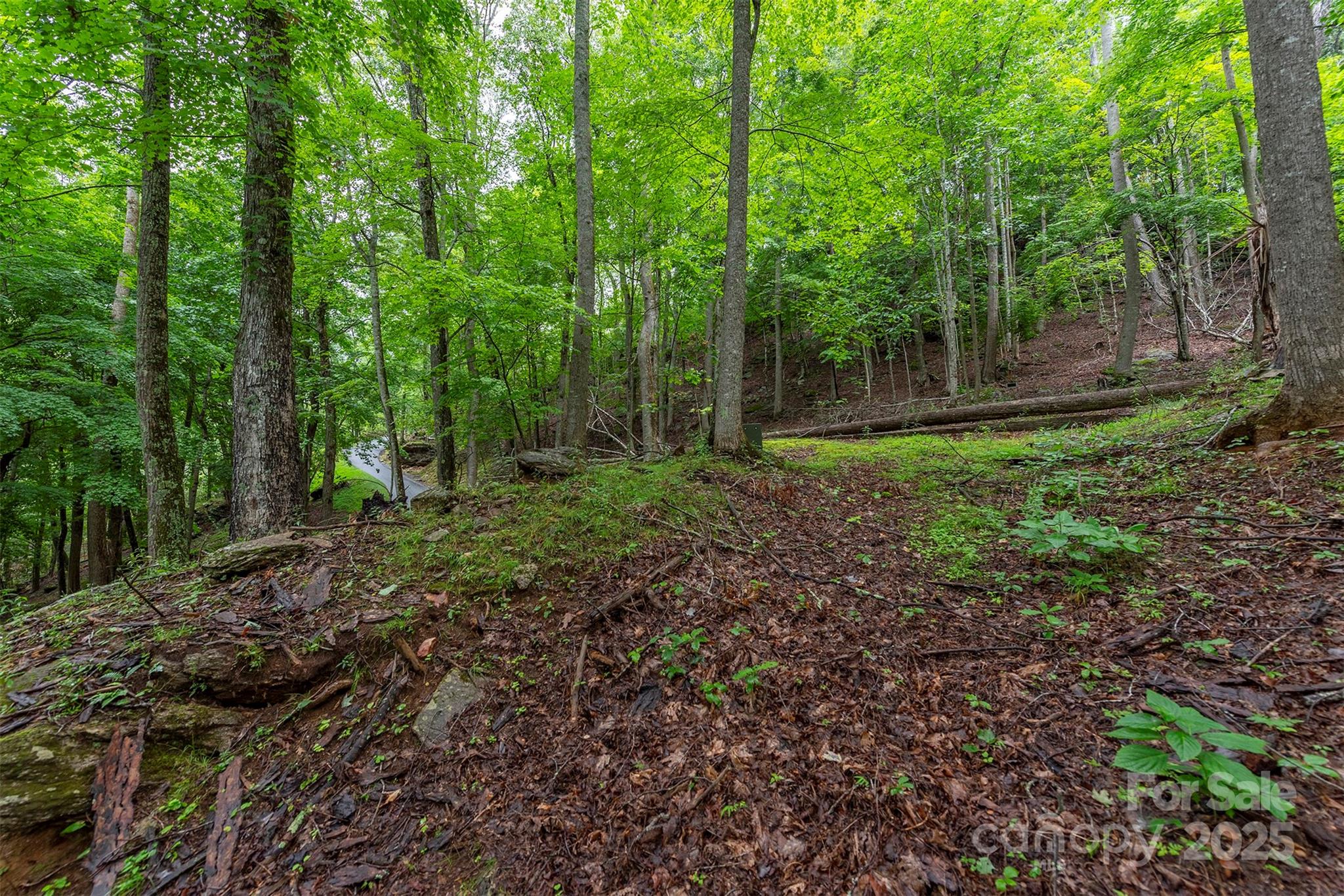 25 Hickory Springs Road Burnsville NC 28714