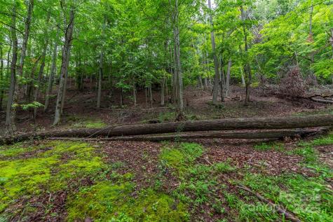 25 Hickory Springs Road Burnsville NC 28714