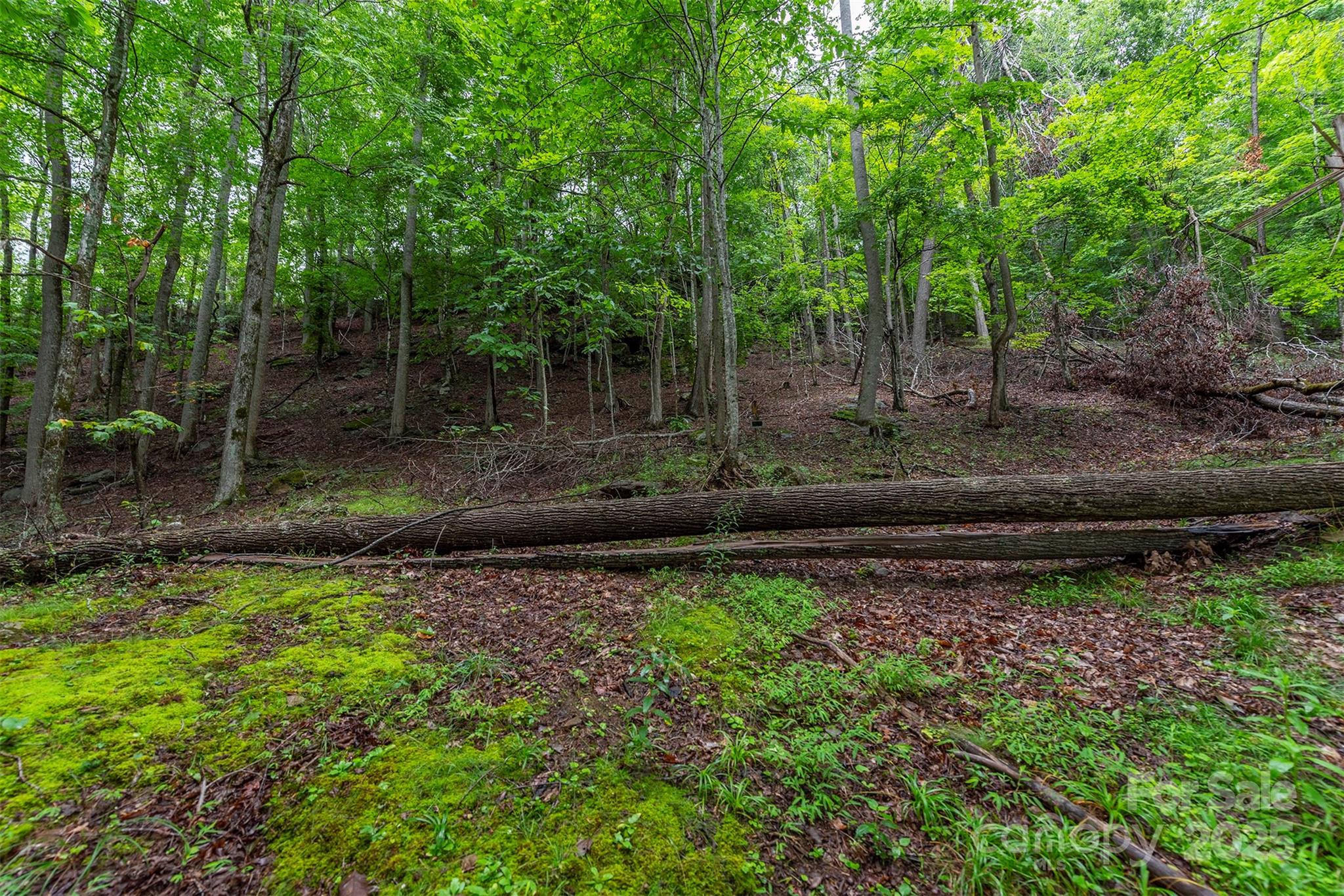 25 Hickory Springs Road Burnsville NC 28714