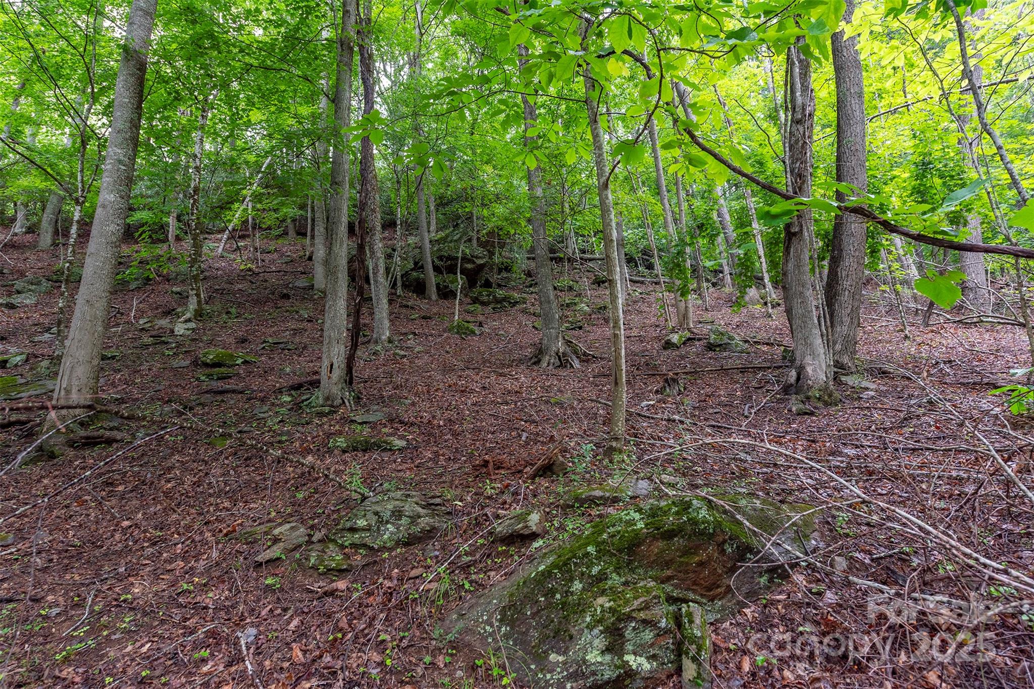 25 Hickory Springs Road Burnsville NC 28714