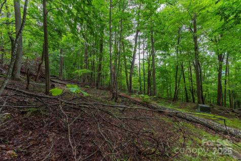 25 Hickory Springs Road Burnsville NC 28714