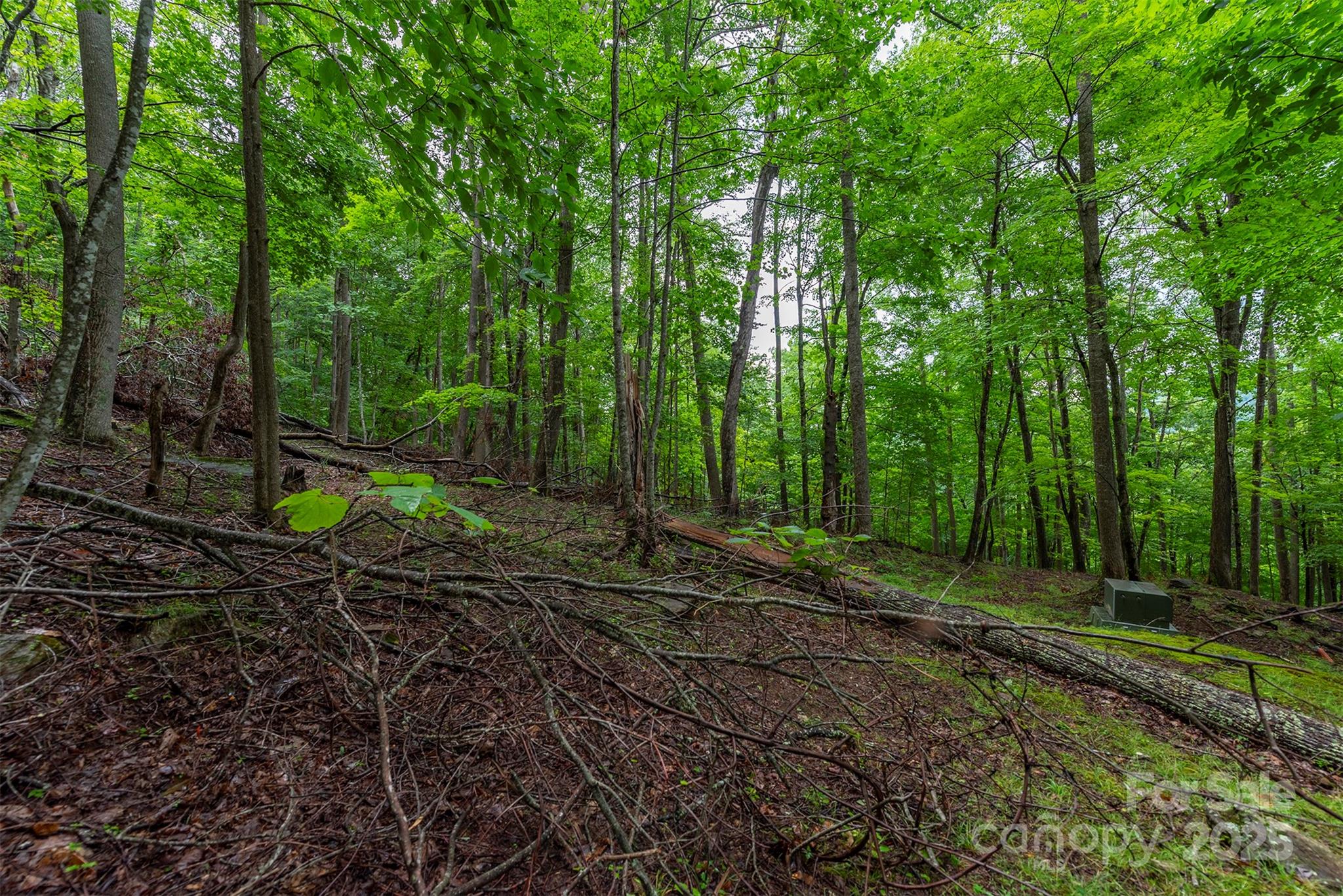 25 Hickory Springs Road Burnsville NC 28714