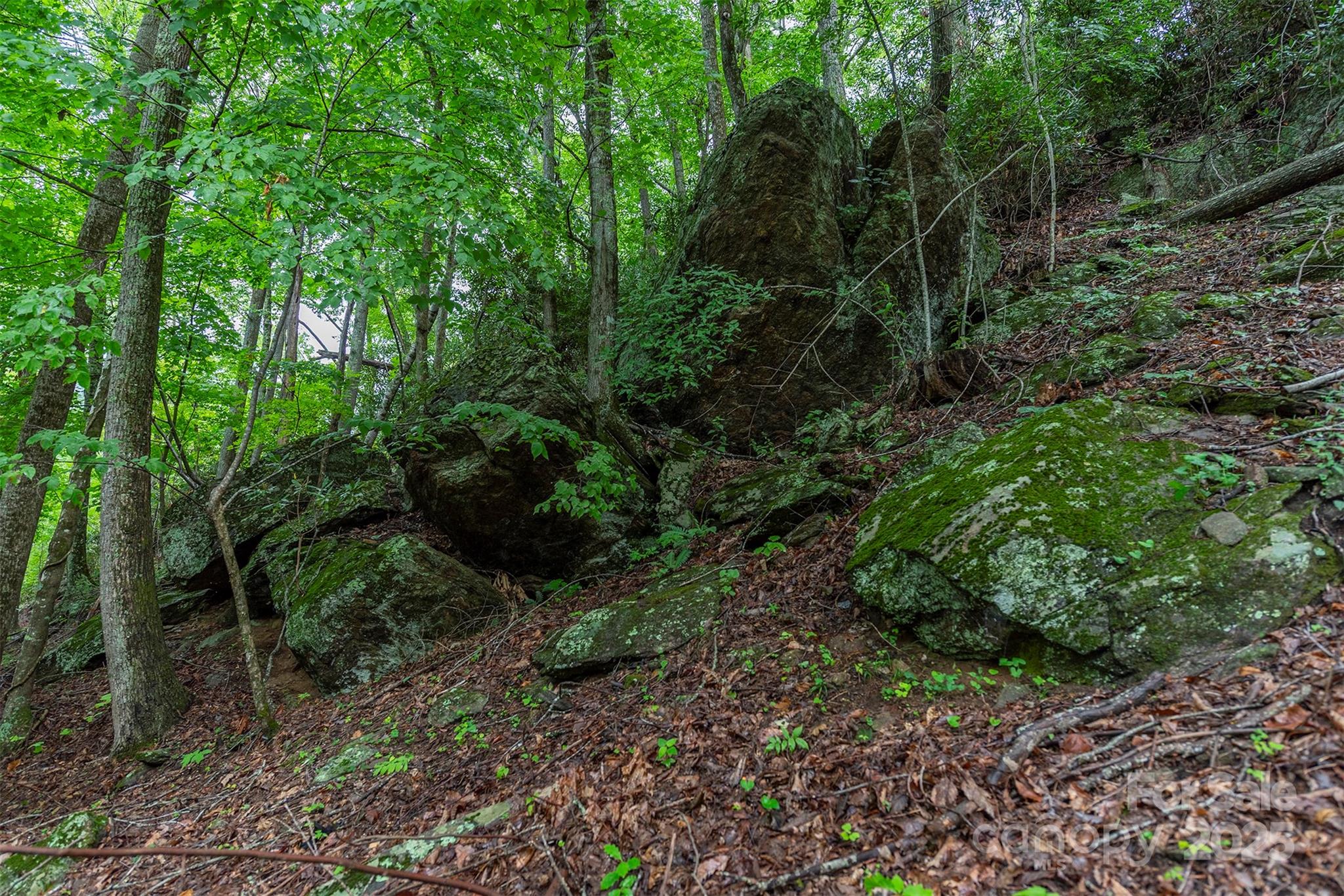 25 Hickory Springs Road Burnsville NC 28714