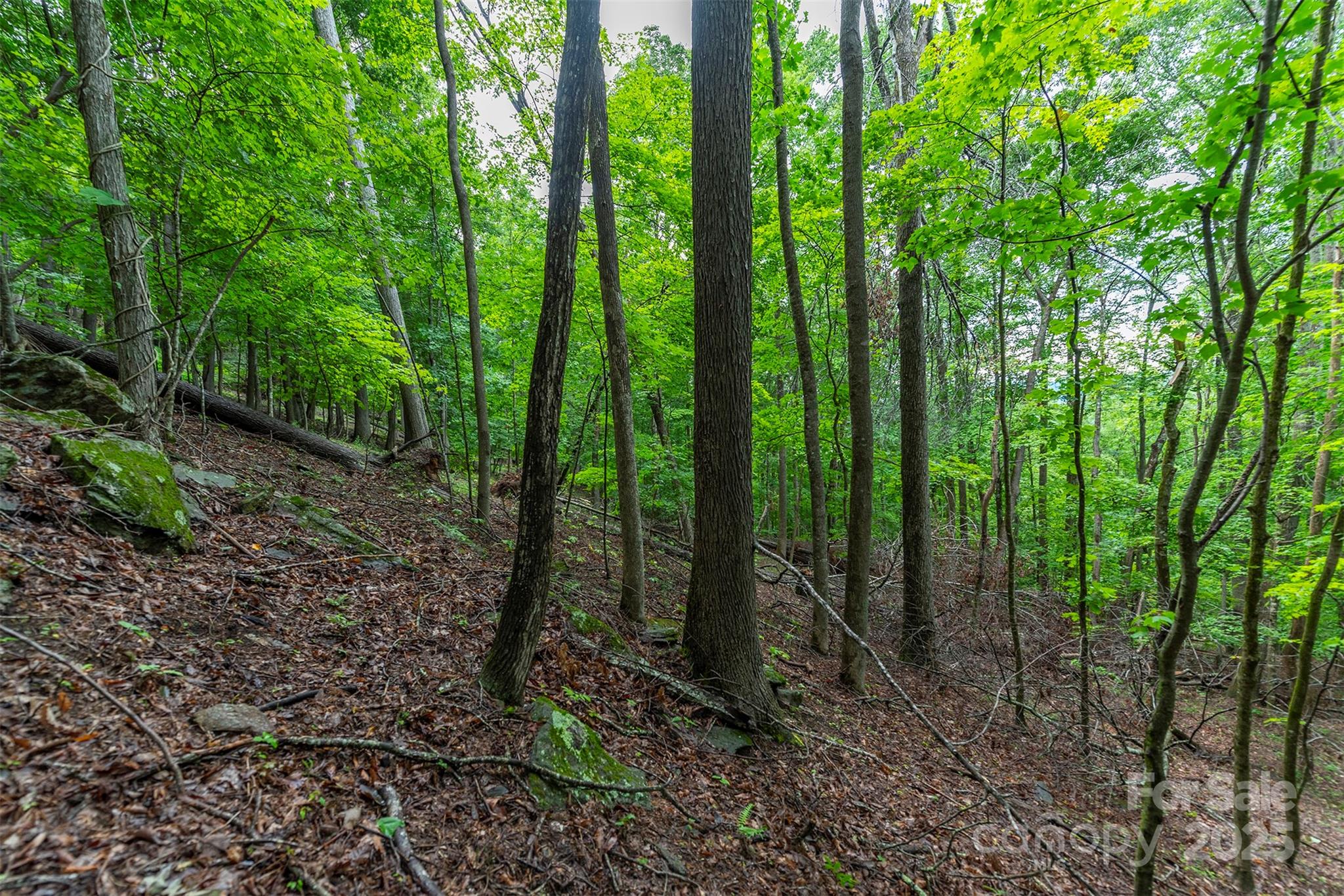 25 Hickory Springs Road Burnsville NC 28714