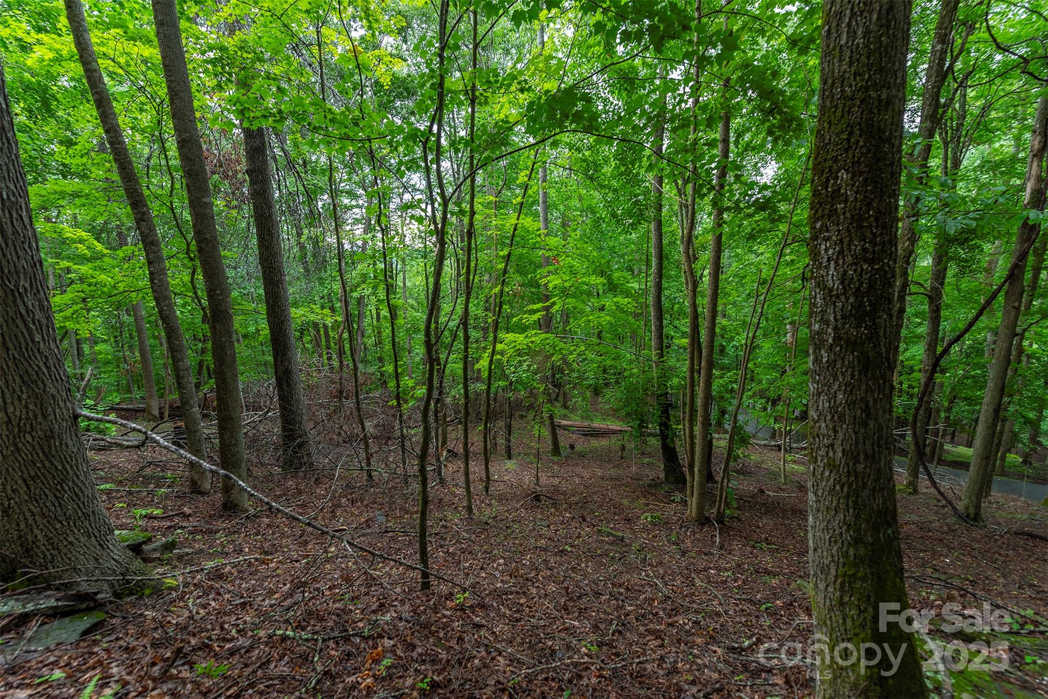 25 Hickory Springs Road Burnsville NC 28714