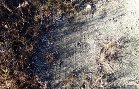 4580 Mount Gallant Road Rock Hill SC 29732