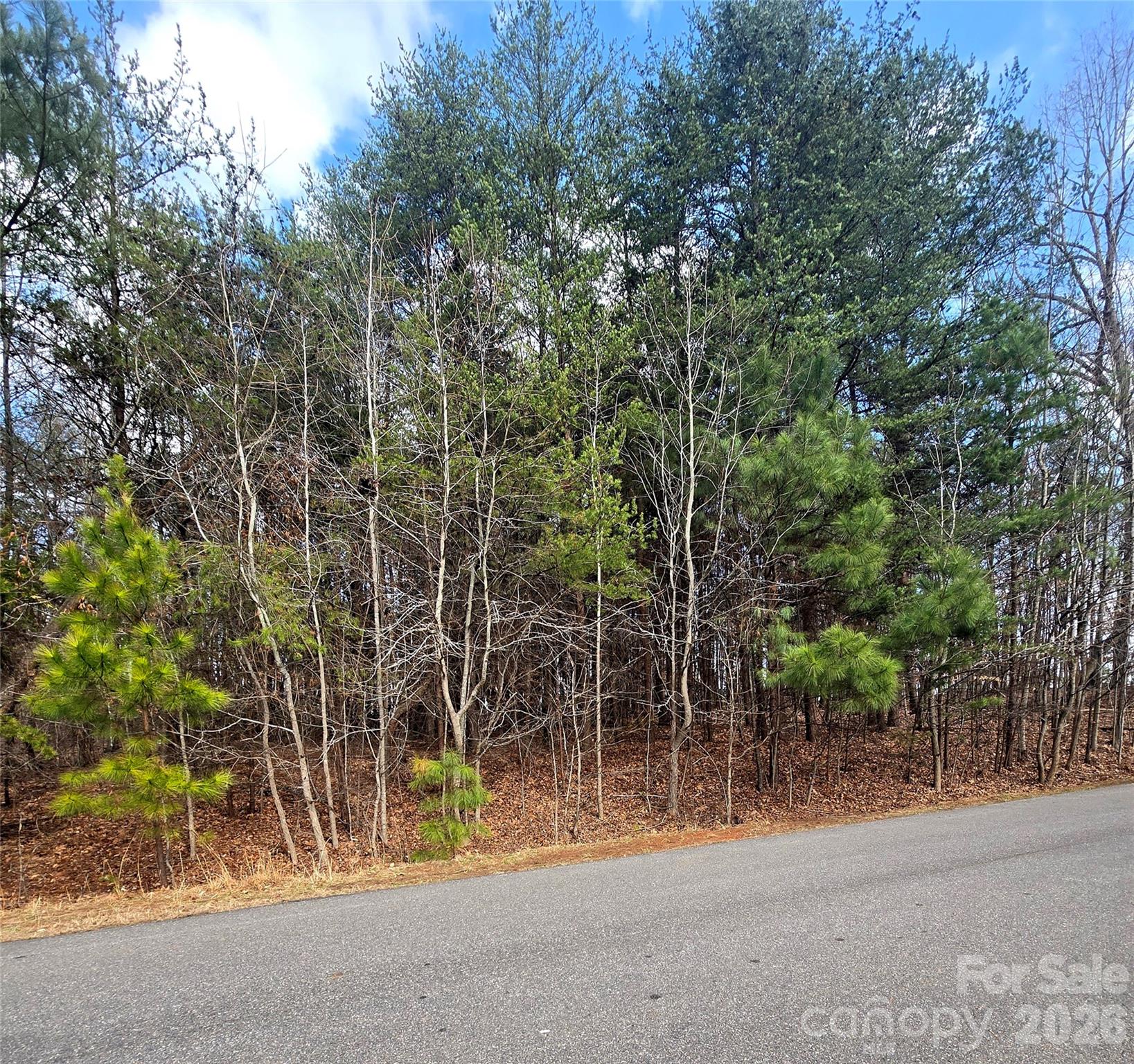 176 Broadview Circle Mooresville NC 28117