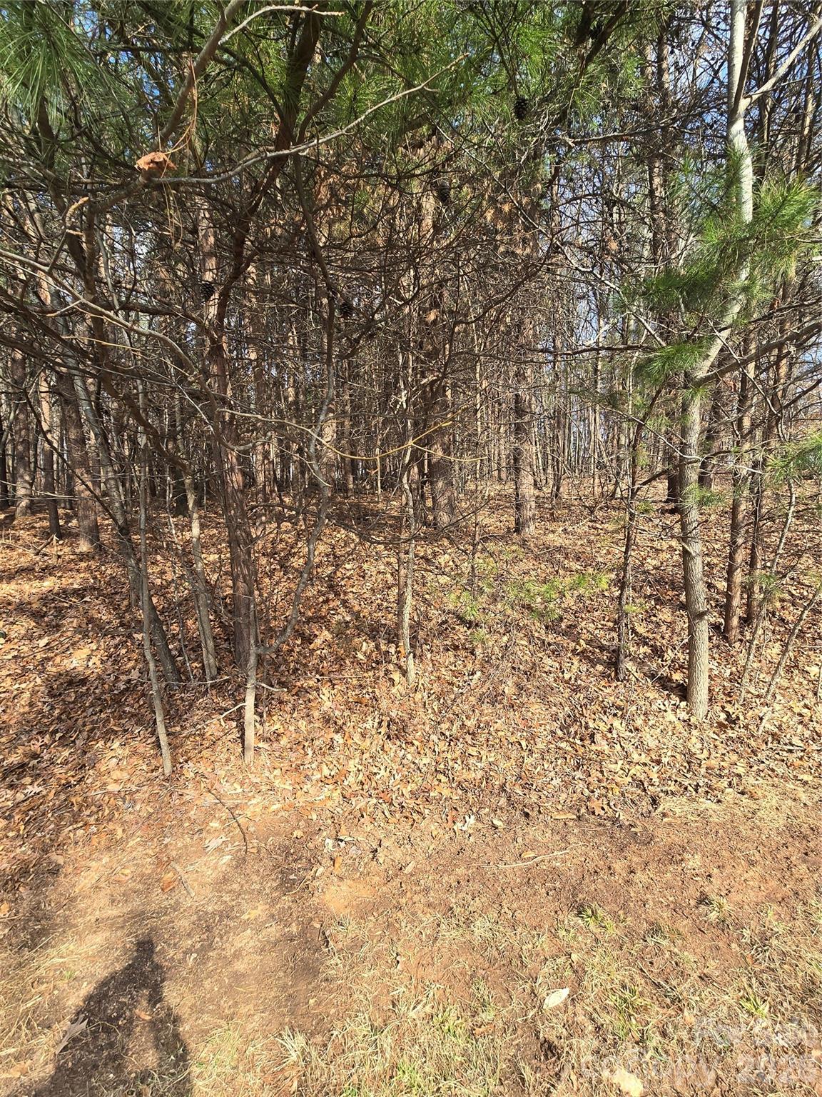 176 Broadview Circle Mooresville NC 28117