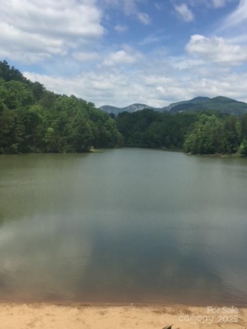 0 E Swans Way Lake Lure NC 28746