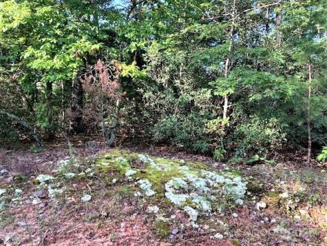 0 E Swans Way Lake Lure NC 28746