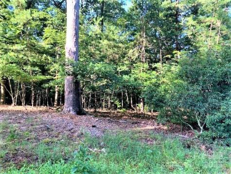 0 E Swans Way Lake Lure NC 28746