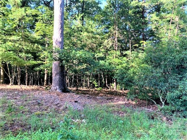 0 E Swans Way Lake Lure NC 28746