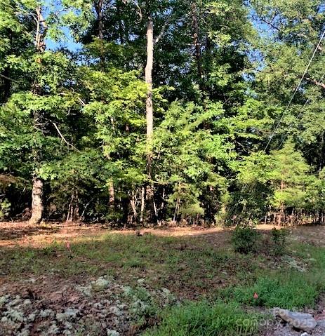 0 E Swans Way Lake Lure NC 28746
