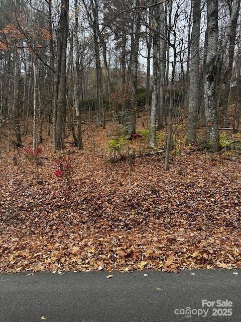 309 Nottingham Road Maggie Valley NC 28751
