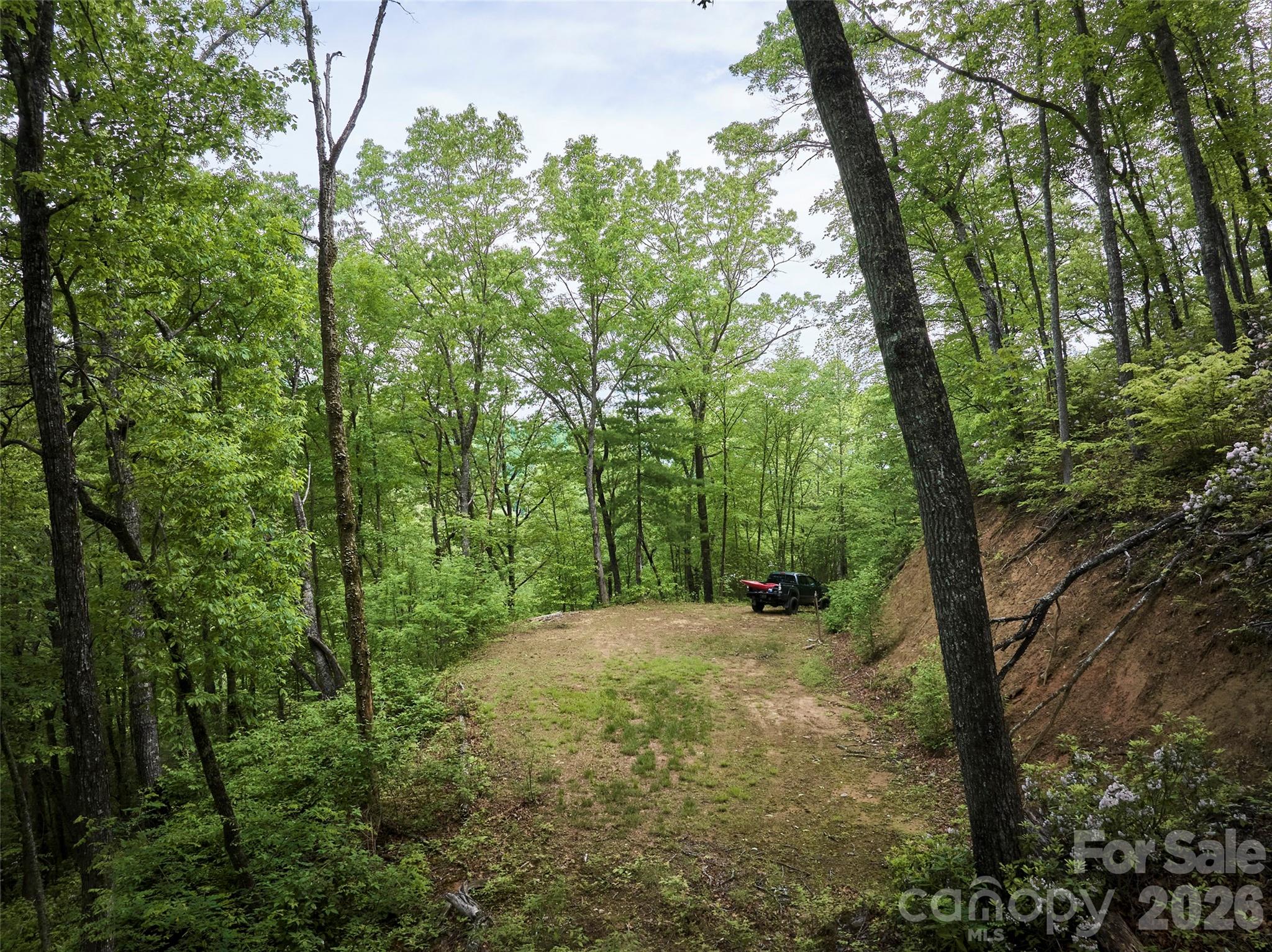 0 Holly House Road Bryson City NC 28713