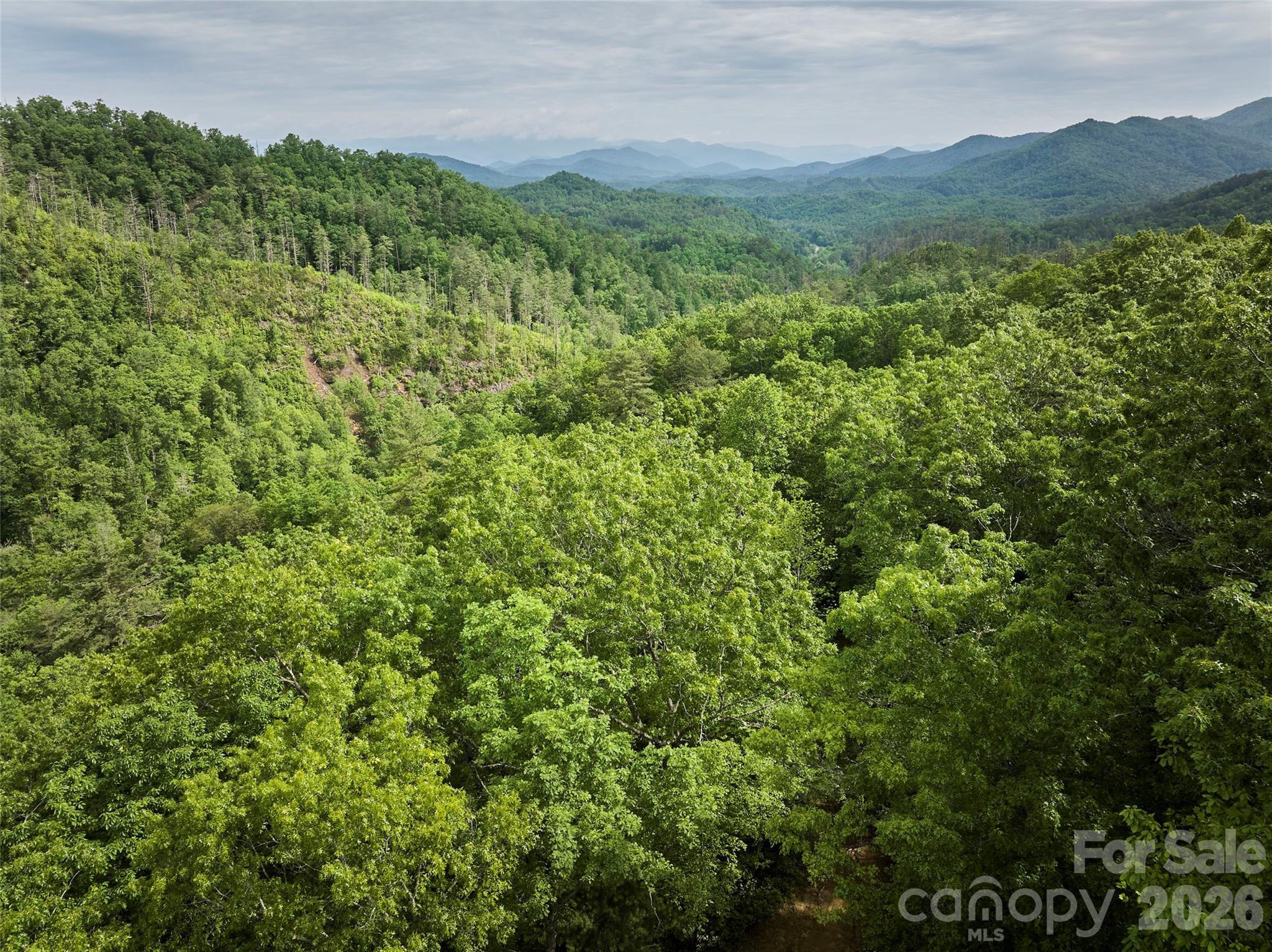 0 Holly House Road Bryson City NC 28713
