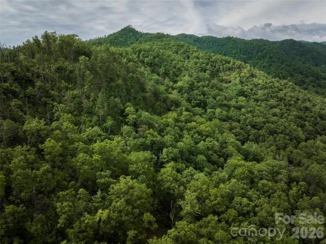 0 Holly House Road Bryson City NC 28713