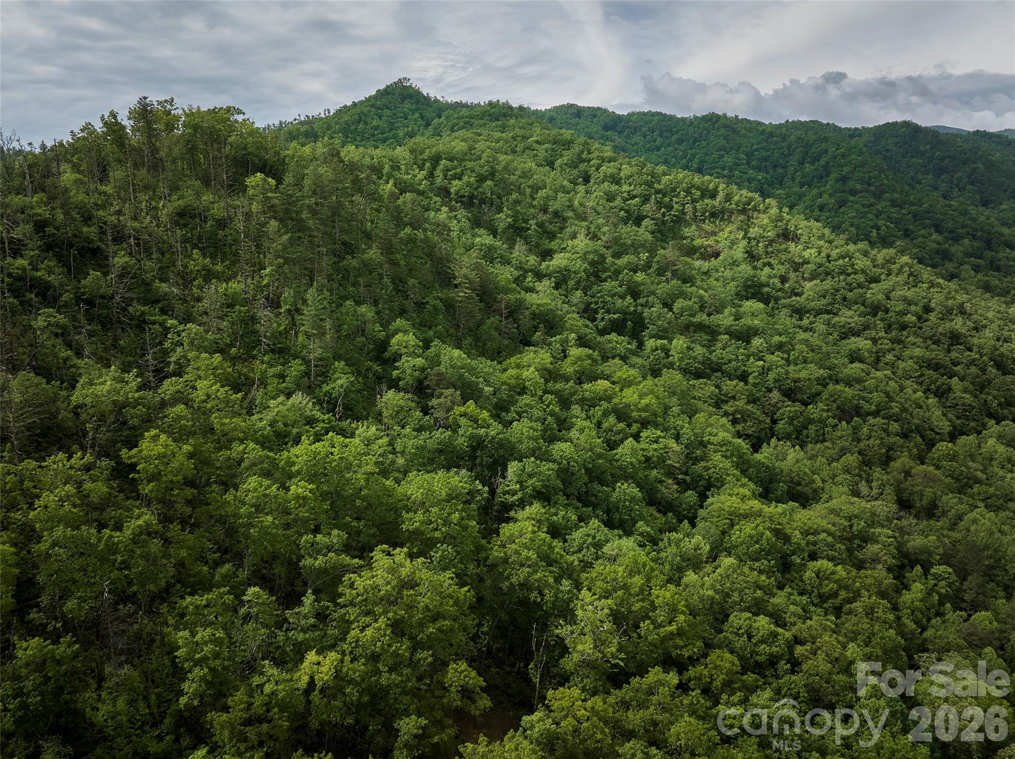 0 Holly House Road Bryson City NC 28713