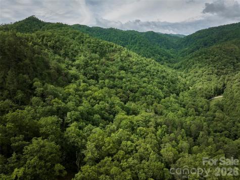 0 Holly House Road Bryson City NC 28713