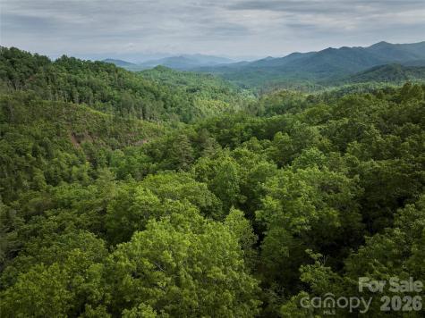 0 Holly House Road Bryson City NC 28713