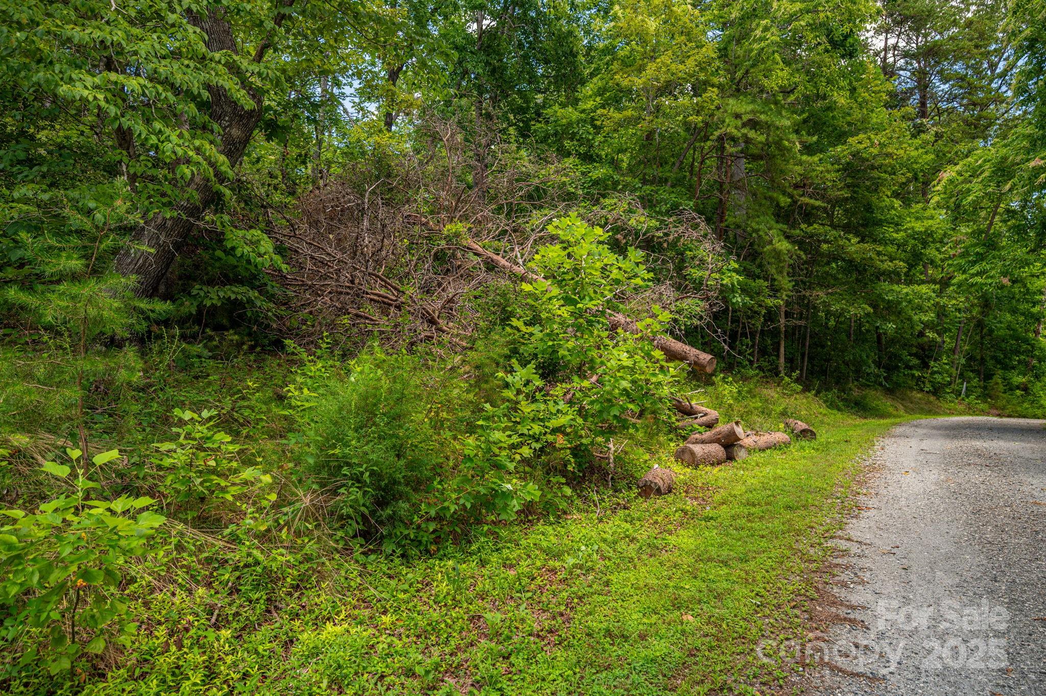 Lot 208 Plantation Drive Rutherfordton NC 28139