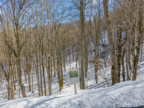 Lot 42 Black Bear Run Mars Hill NC 28754