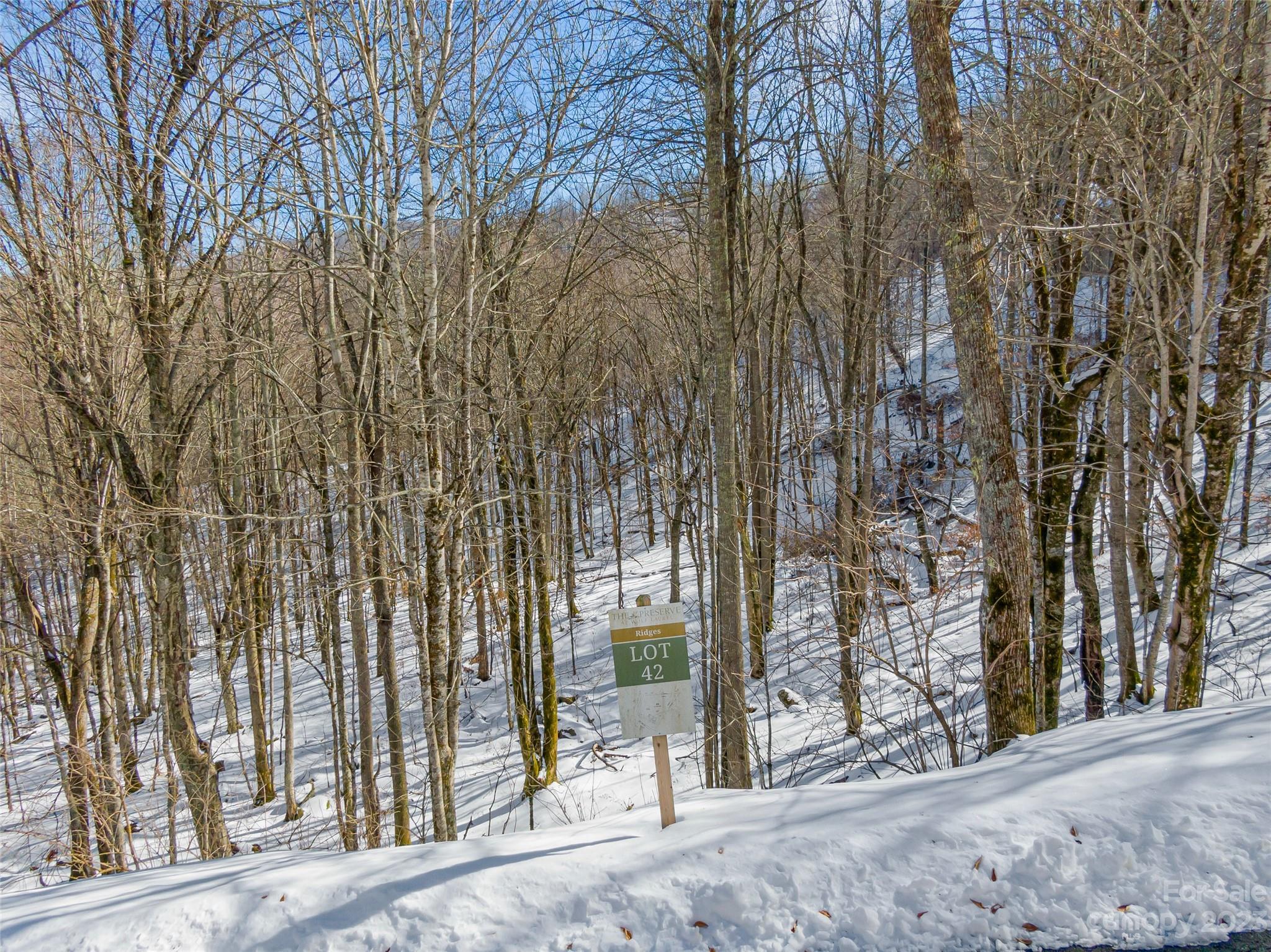 Lot 42 Black Bear Run Mars Hill NC 28754