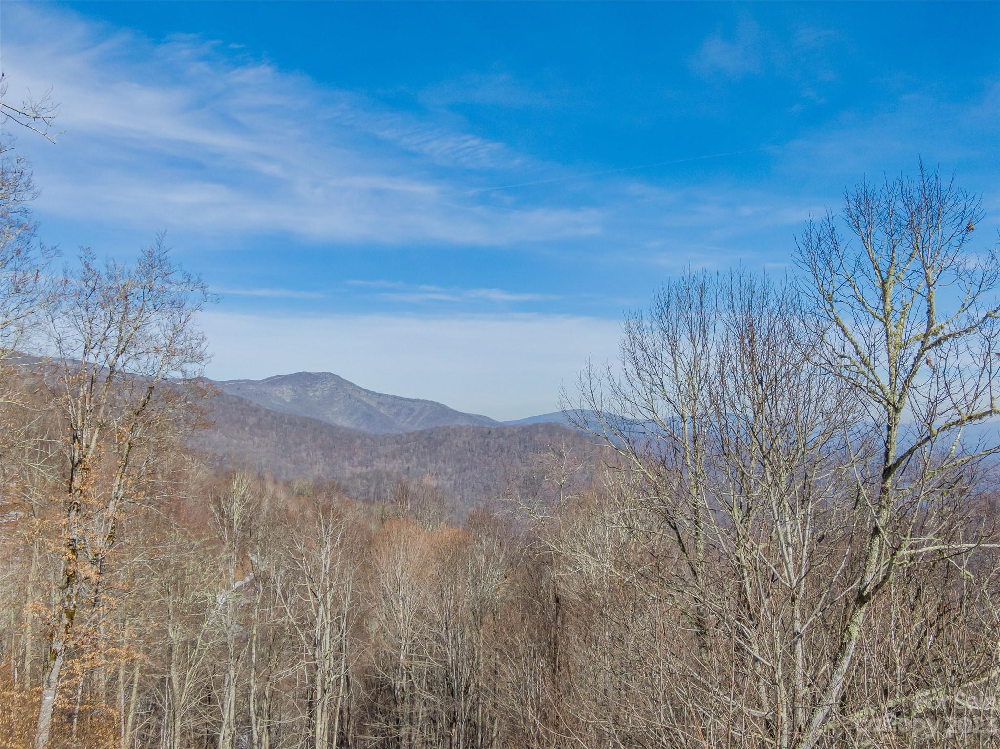 Lot 42 Black Bear Run Mars Hill NC 28754