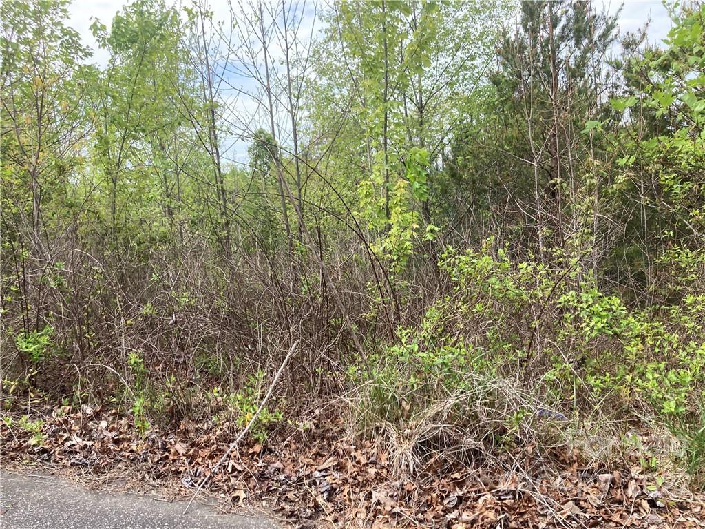 V/l Horseshoe Trail Connelly Springs NC 28612
