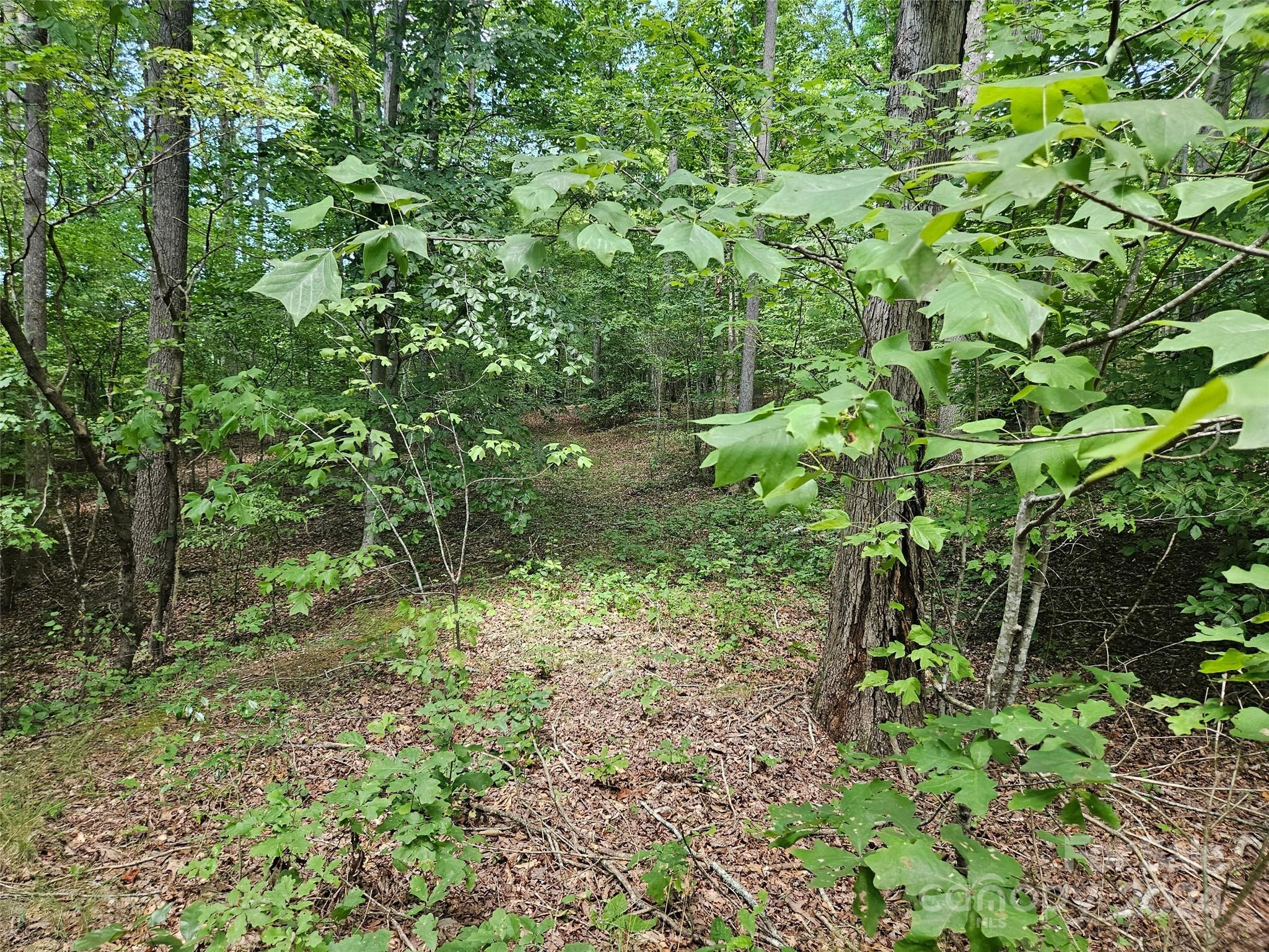 0 Broyhill Road Rutherfordton NC 28139
