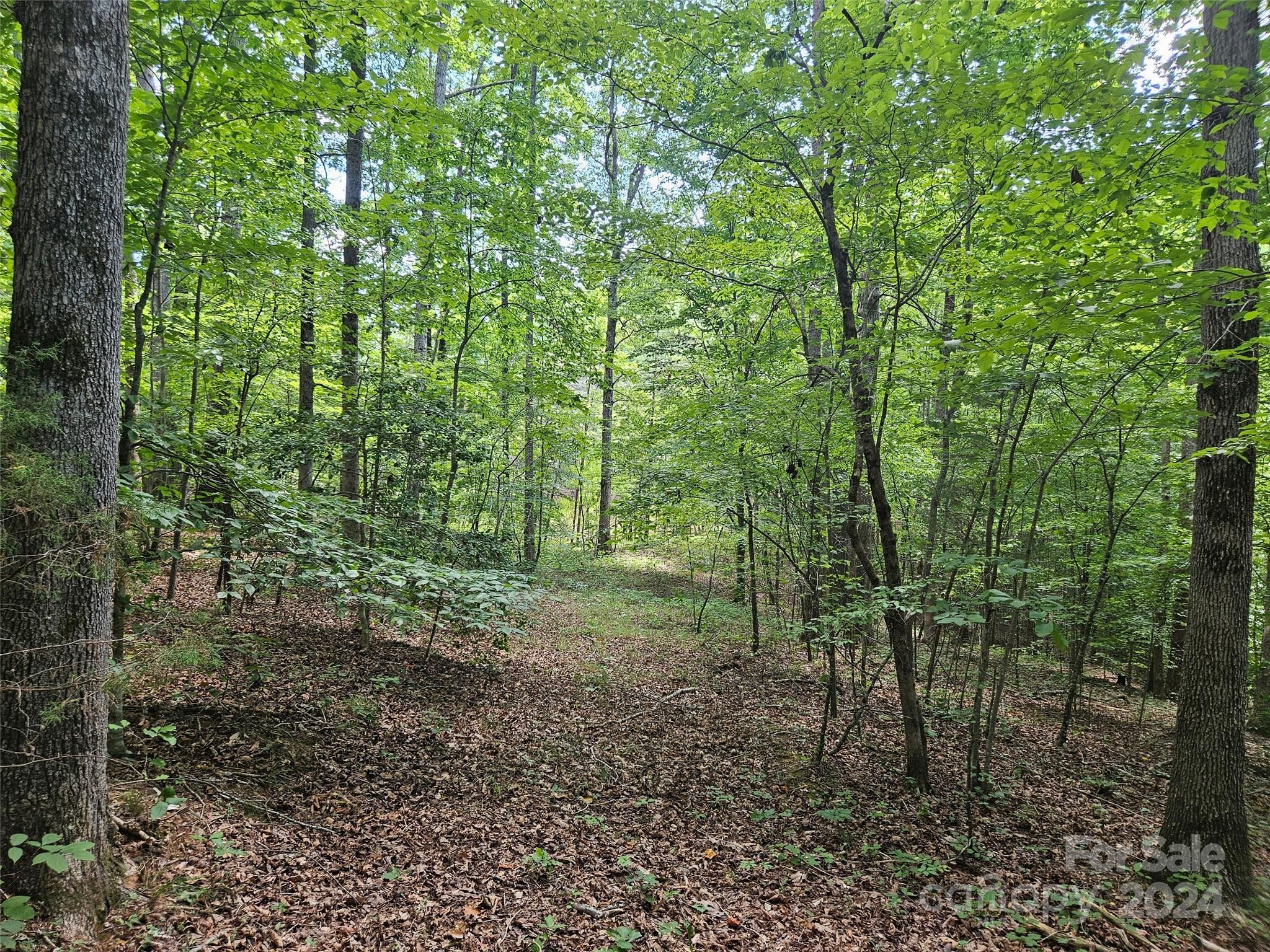 0 Broyhill Road Rutherfordton NC 28139
