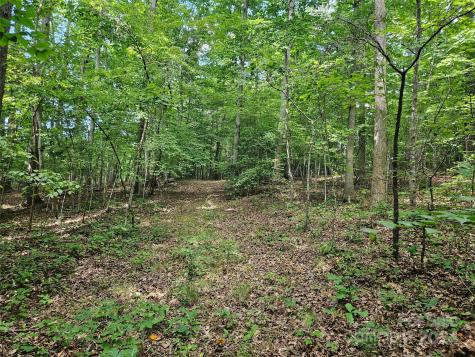 0 Broyhill Road Rutherfordton NC 28139