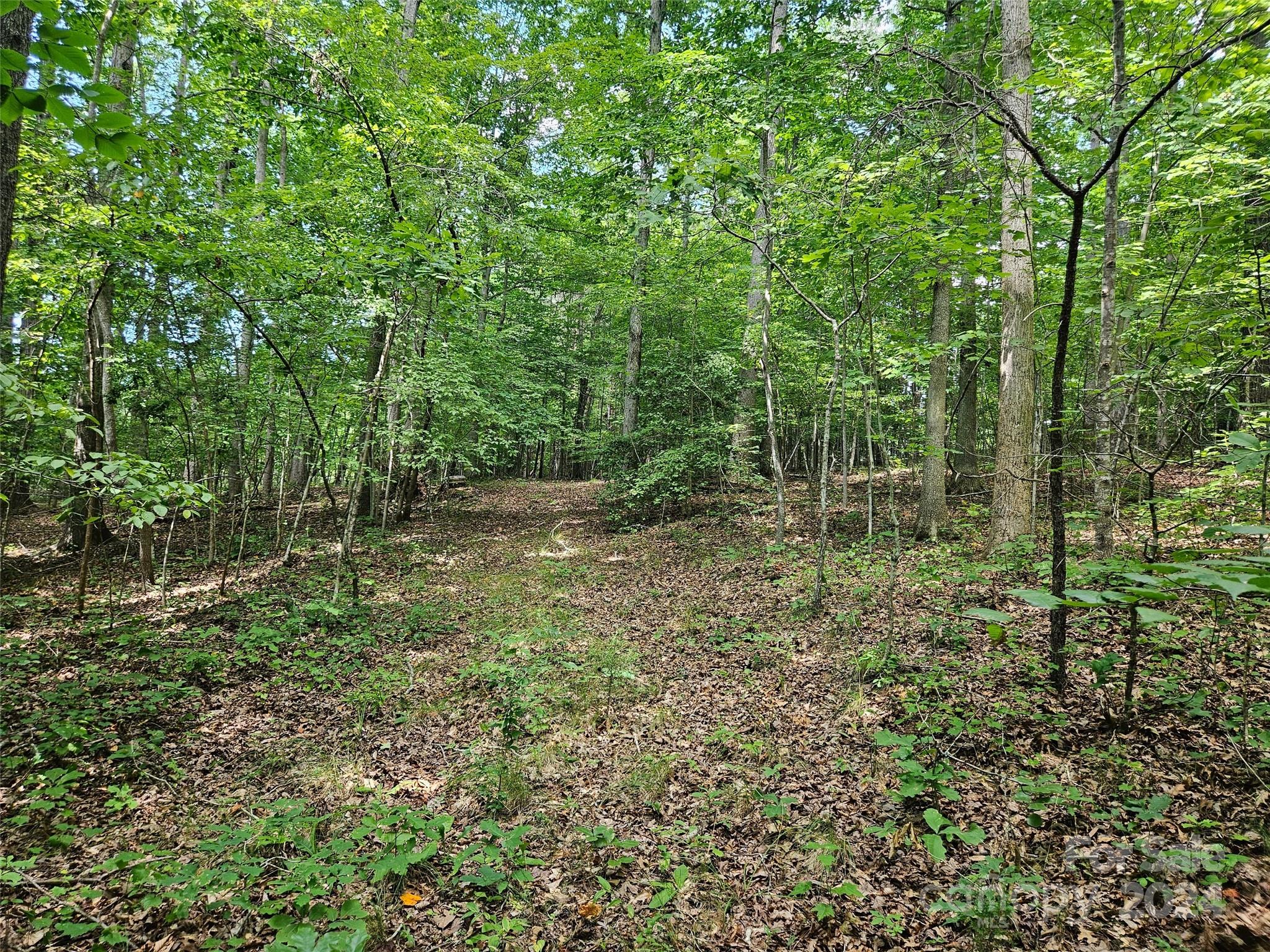0 Broyhill Road Rutherfordton NC 28139