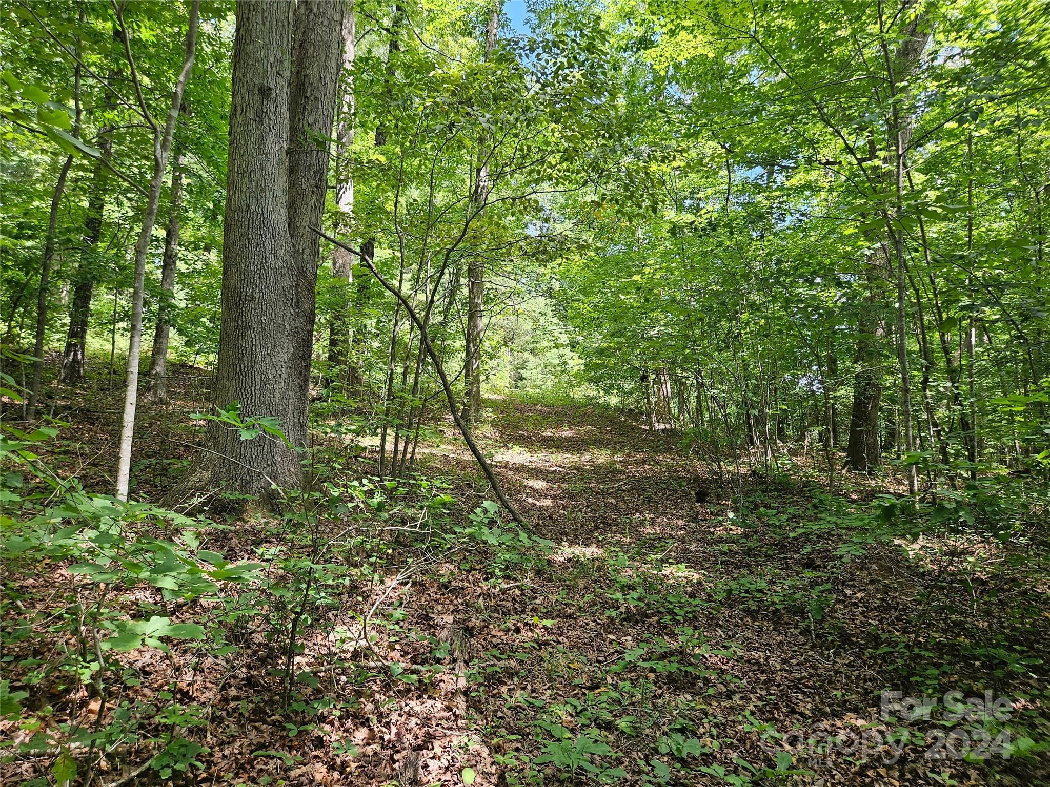 0 Broyhill Road Rutherfordton NC 28139