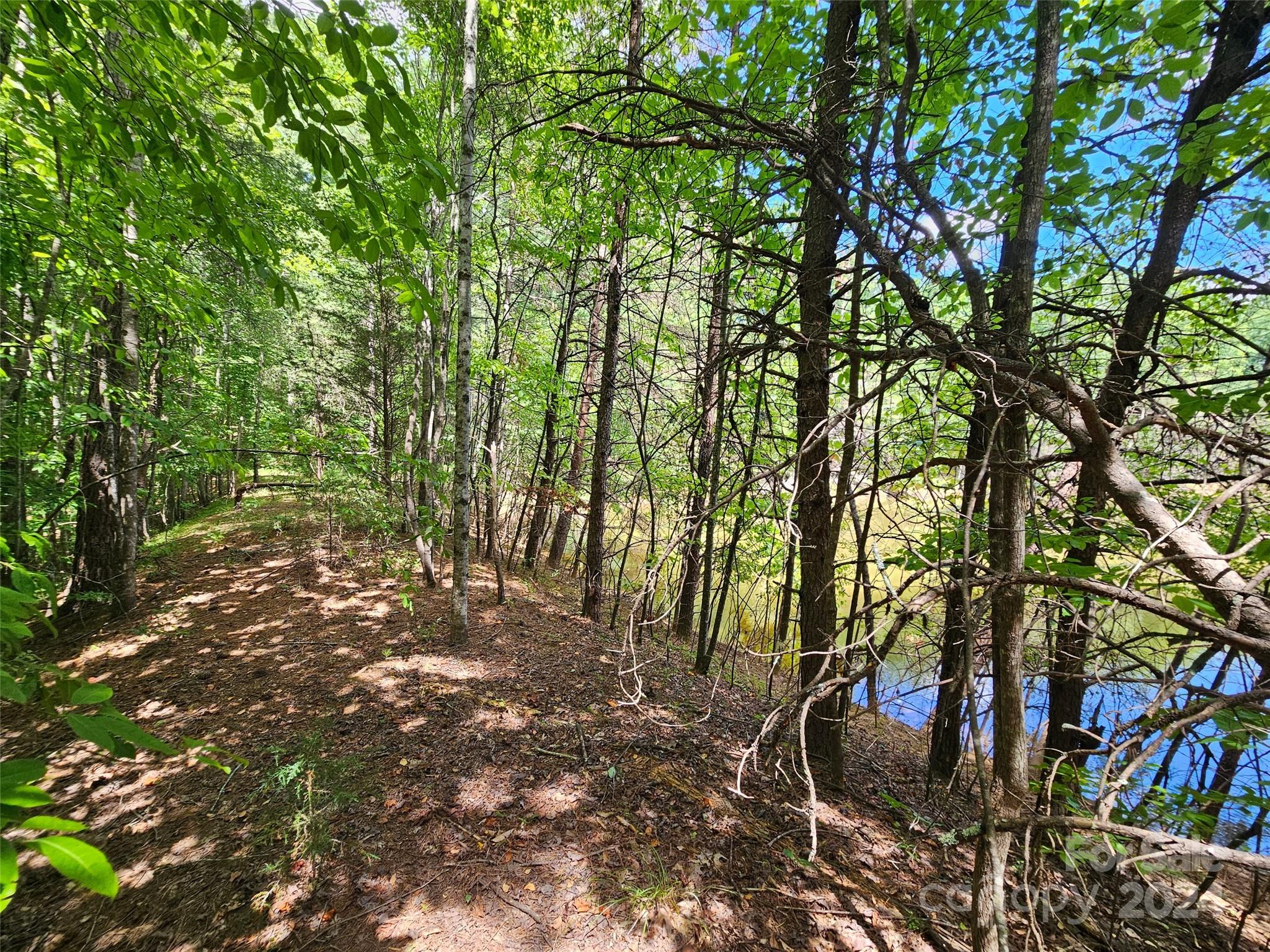 0 Broyhill Road Rutherfordton NC 28139