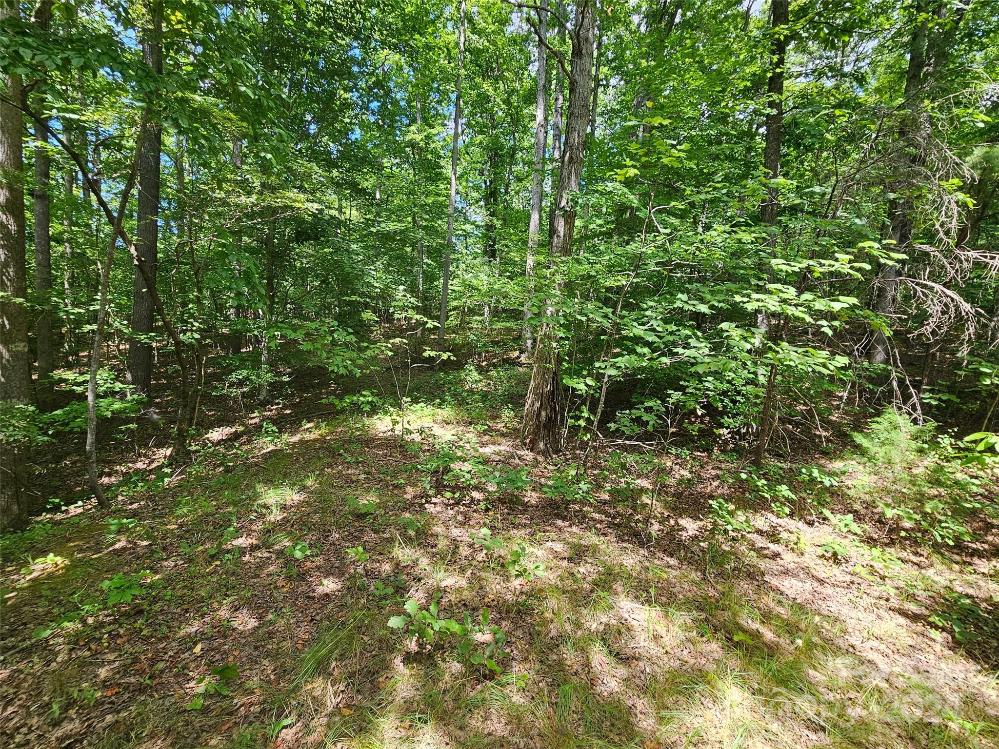 0 Broyhill Road Rutherfordton NC 28139