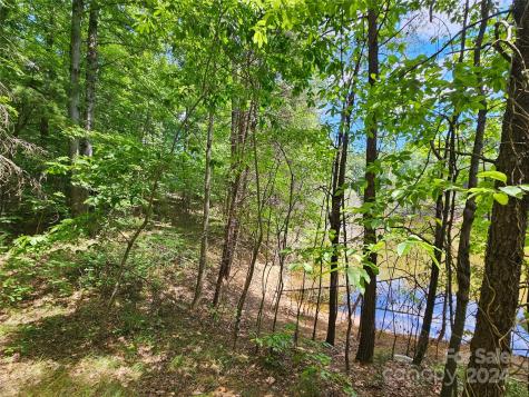 0 Broyhill Road Rutherfordton NC 28139