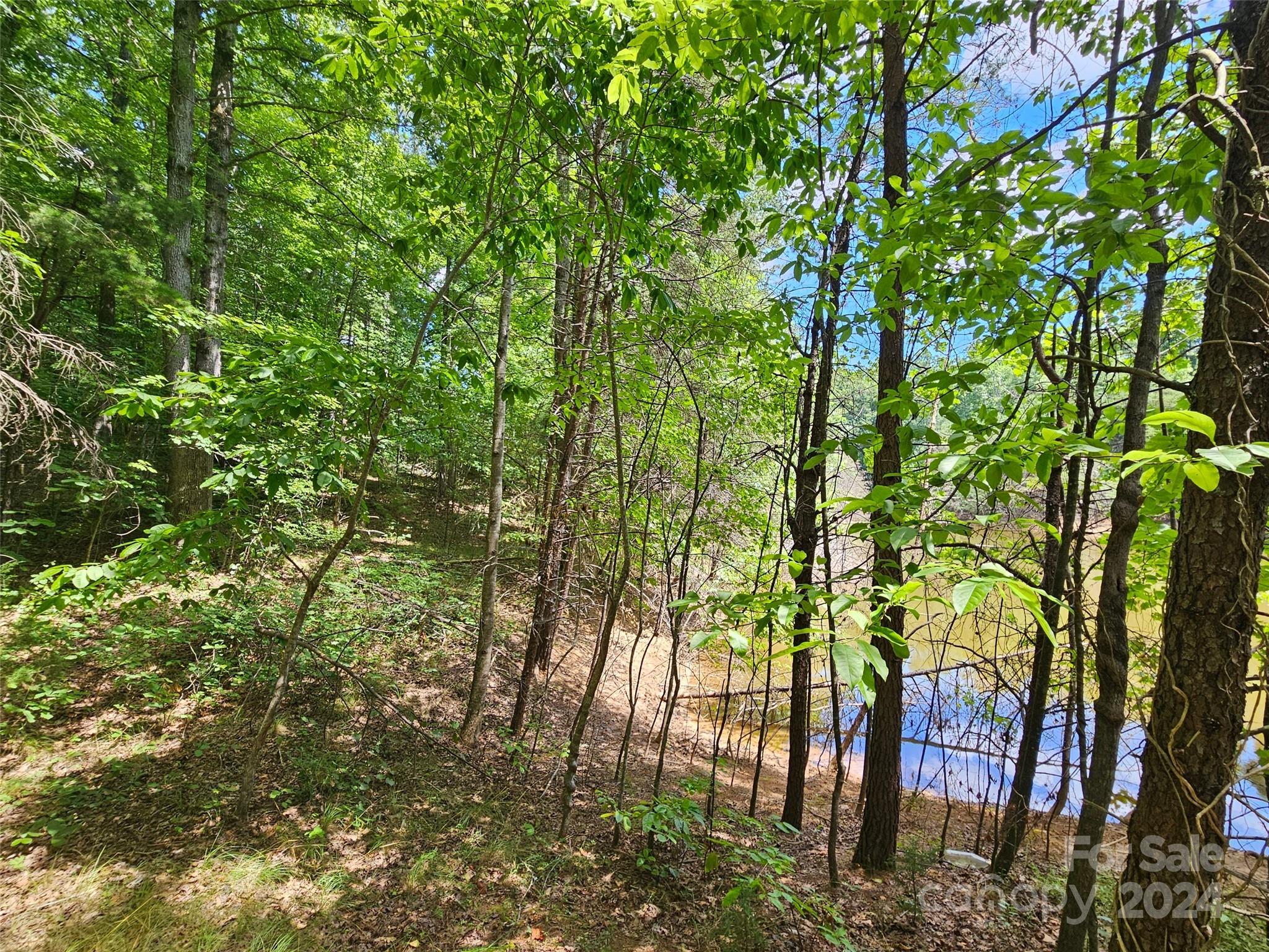 0 Broyhill Road Rutherfordton NC 28139