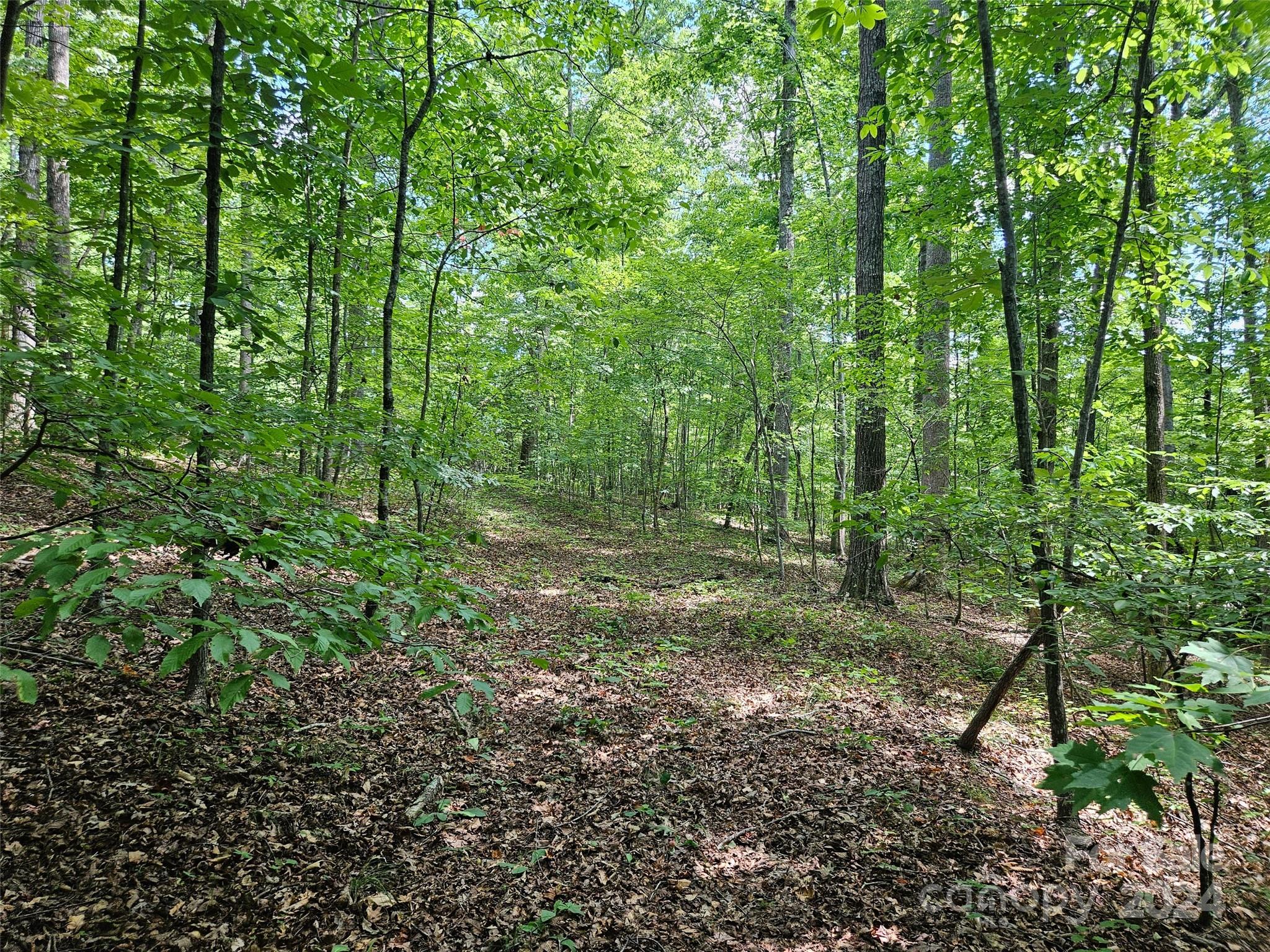 0 Broyhill Road Rutherfordton NC 28139