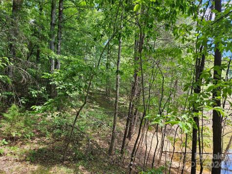 0 Broyhill Road Rutherfordton NC 28139