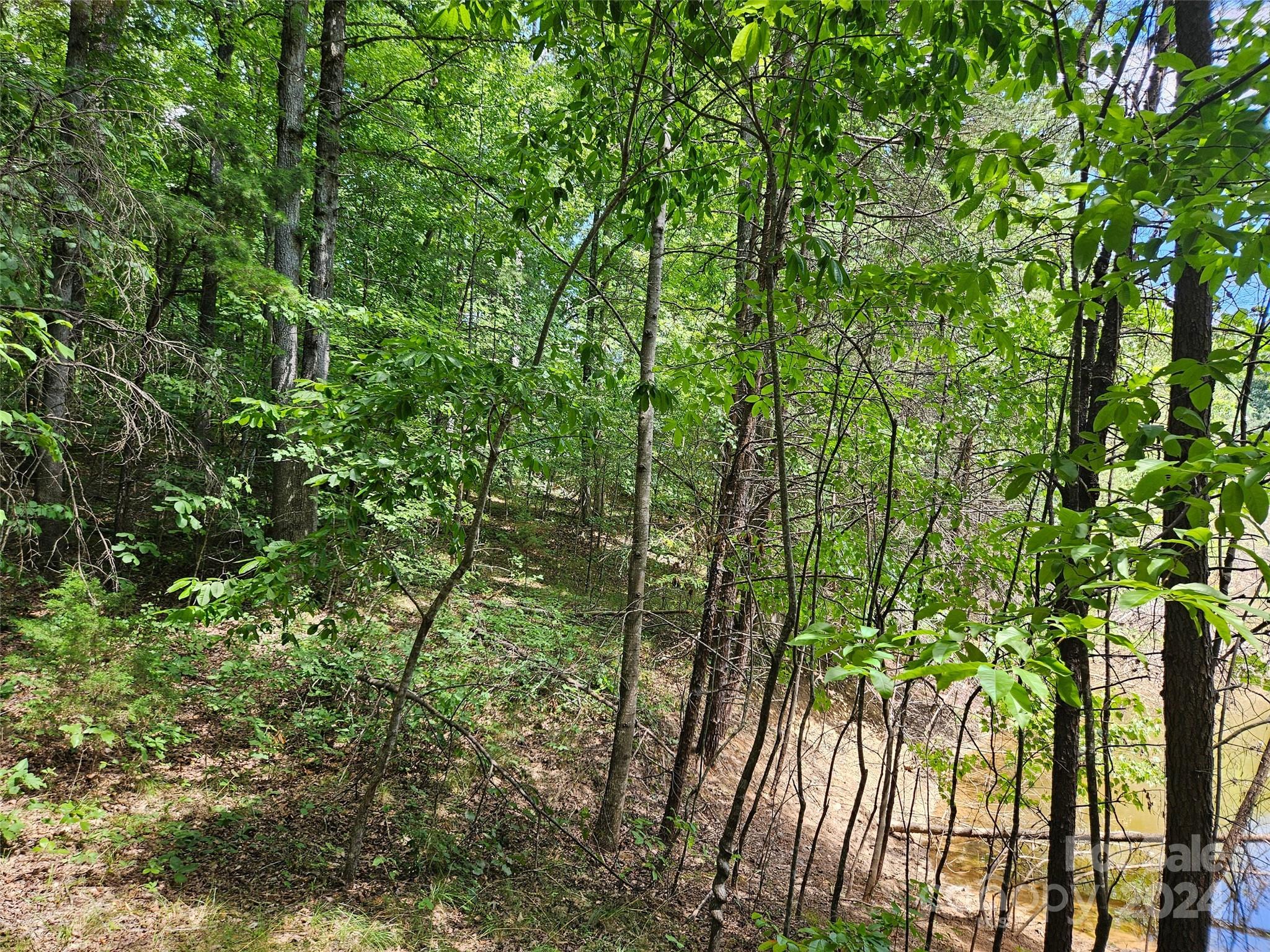 0 Broyhill Road Rutherfordton NC 28139