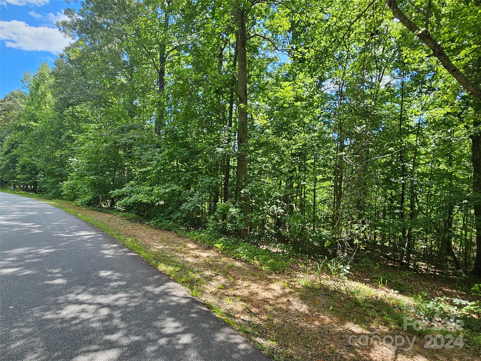 0 Broyhill Road Rutherfordton NC 28139