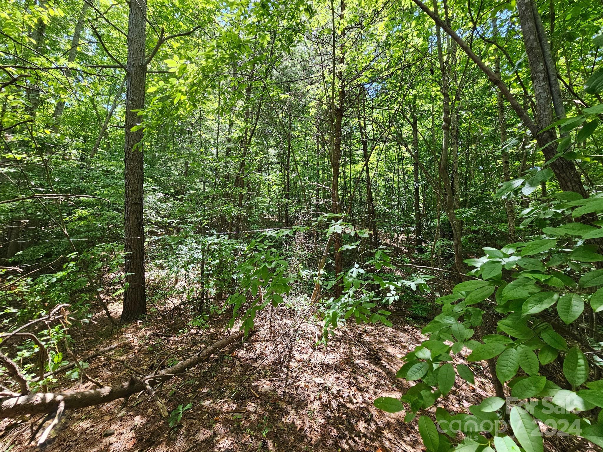 0 Broyhill Road Rutherfordton NC 28139